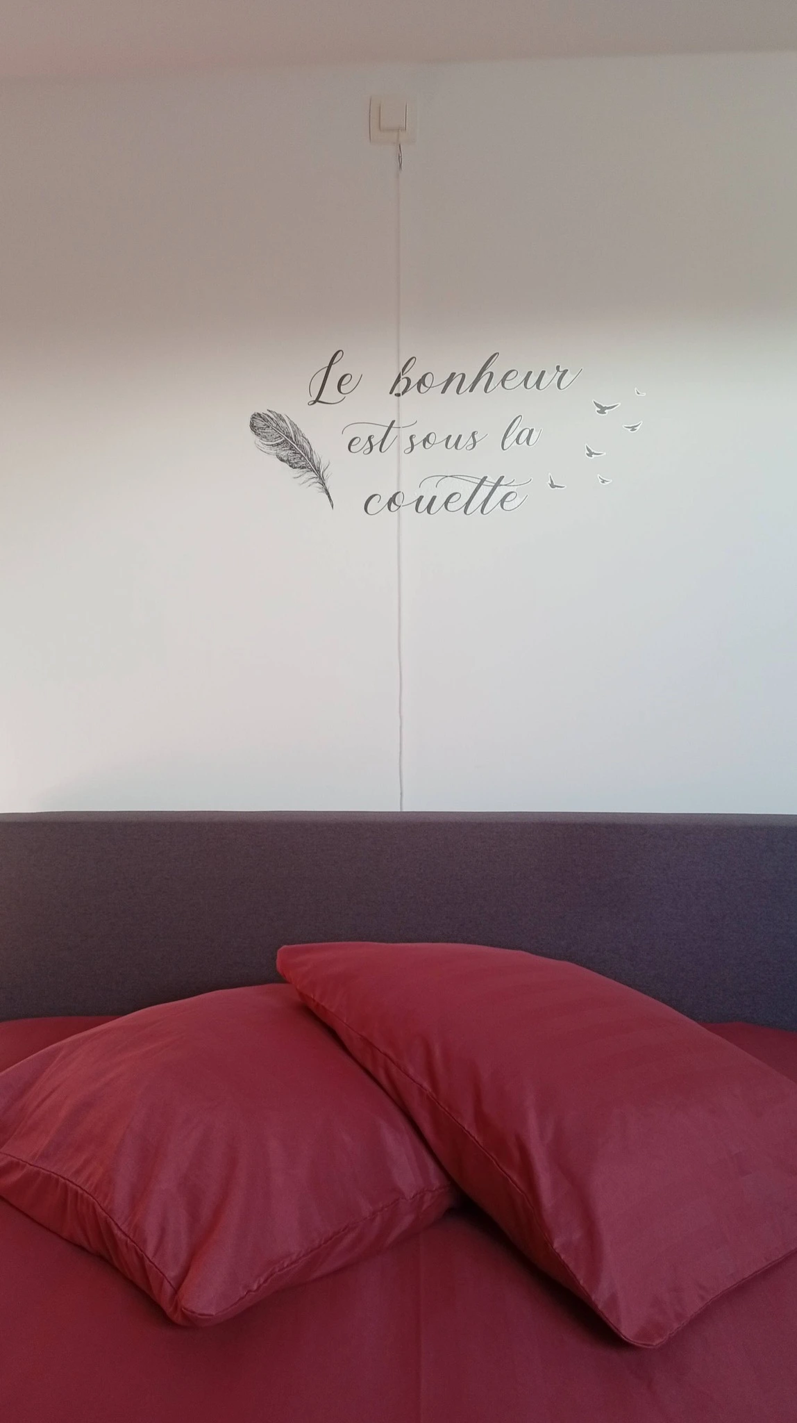 Le Cocon d'Ambre - Vue 10