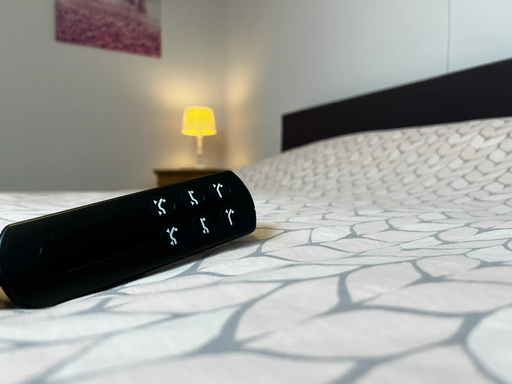 Le Cocon d'Ambre - Vue 2